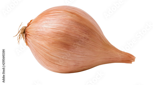 Isolated raw fresh organic shallot with its papery skin and root end, studio shot