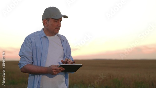 farmer works digital tablet wheat field, agriculture, modern wheat harvesting, industrial farming technologies, modern farmer analyzing field data with tablet computer, agronomist with digital tablet