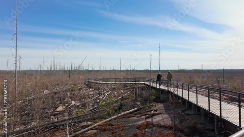 Visitors walking elevated boardwalk through recovering wildfire landscape