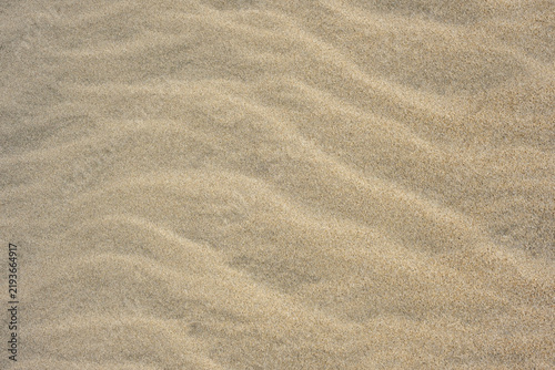 Natural background with wavy wind ripples on beach sand.