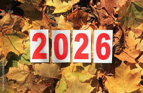 Autumn of 2026 year. Paper square numbers on the yellow maple leaves background. Coming fall. Autumn time in town, celebration concept. Outside walking in autumn forest in 2026. Falt leaves in park