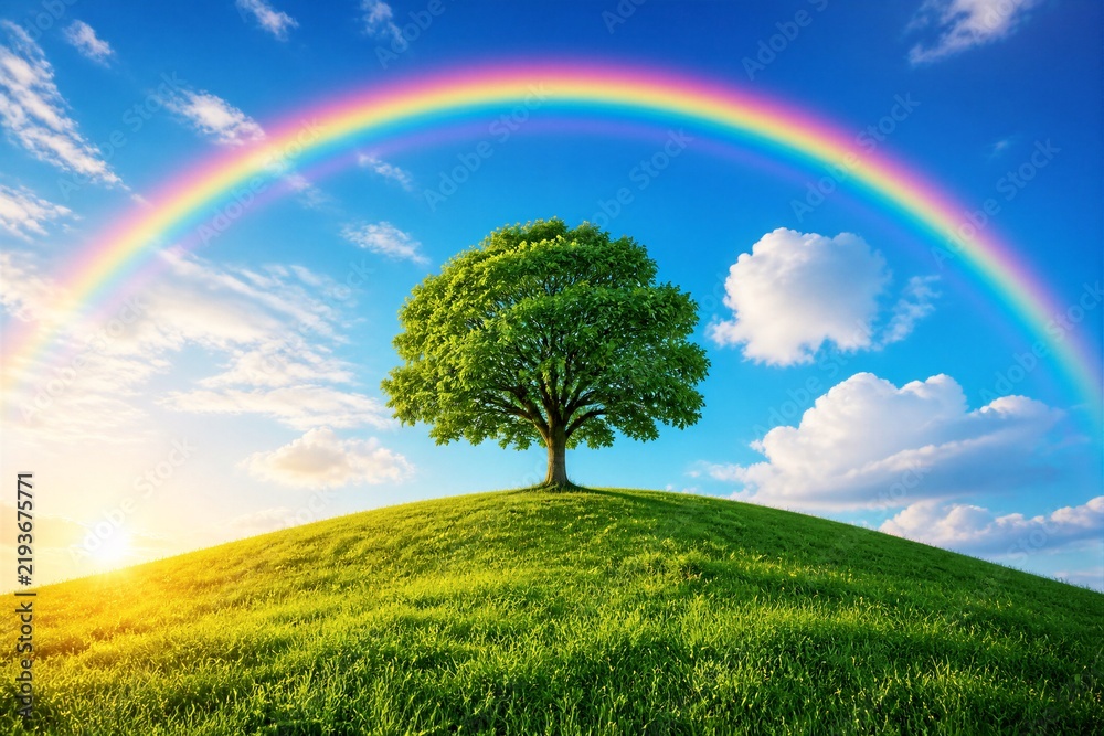 Obraz premium Solitary tree standing on grassy hill with rainbow