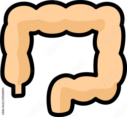 Bild auf Leinwand Large Intestine Colon Anatomy Illustration For Human Organs Healthcare Concept