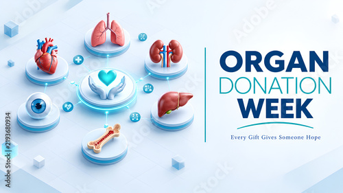 Modern Organ Donation Healthcare Awareness 3D Illustration