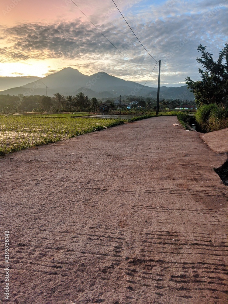 Fototapeta premium A peaceful countryside landscape in Indonesia featuring a concrete village road leading through green rice paddies toward a majestic mountain silhouette at sunrise. Dramatic clouds, soft golden mornin
