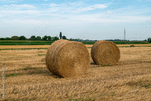 Round hay bales in harvested wheat field under blue sky, rural agricultural landscape, farming season, sustainable agriculture, cereal harvest, countryside panorama, food production and farmland