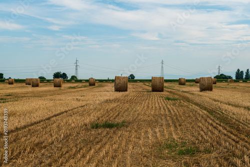 Round hay bales in harvested wheat field under blue sky, rural agricultural landscape, farming season, sustainable agriculture, cereal harvest, countryside panorama, food production and farmland