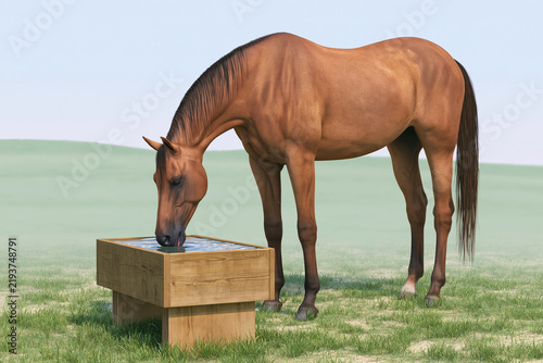 Photorealistic chestnut horse drinking from a wooden water trough in a grassy pasture under blue sky