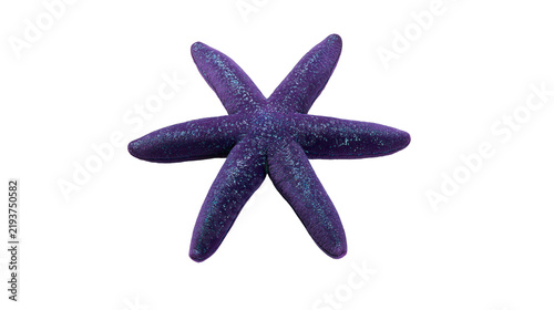 Foto Isolated vibrant purple glittery starfish, perfect for oceanic or decorative the