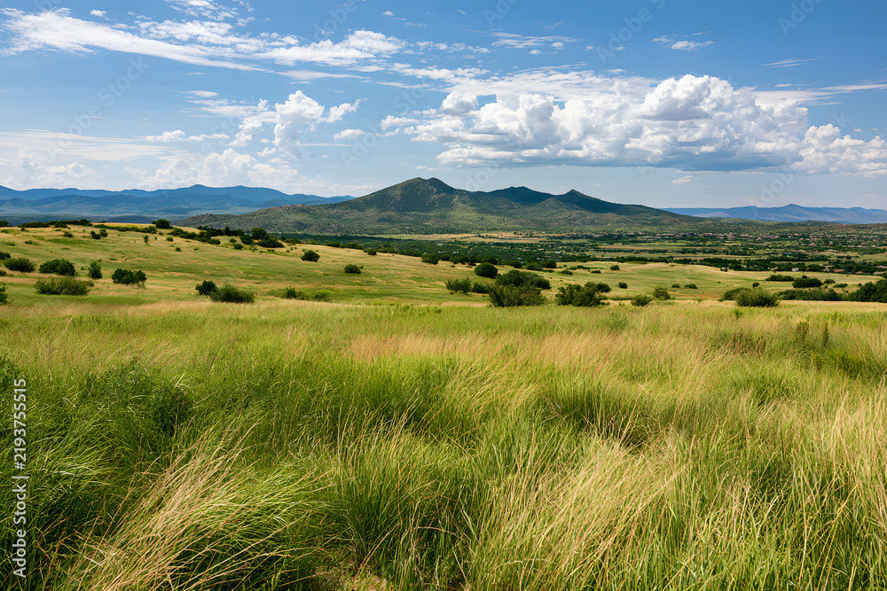 Obraz premium a view of the green landscape in Prescott Valley, Arizona, in the summer
