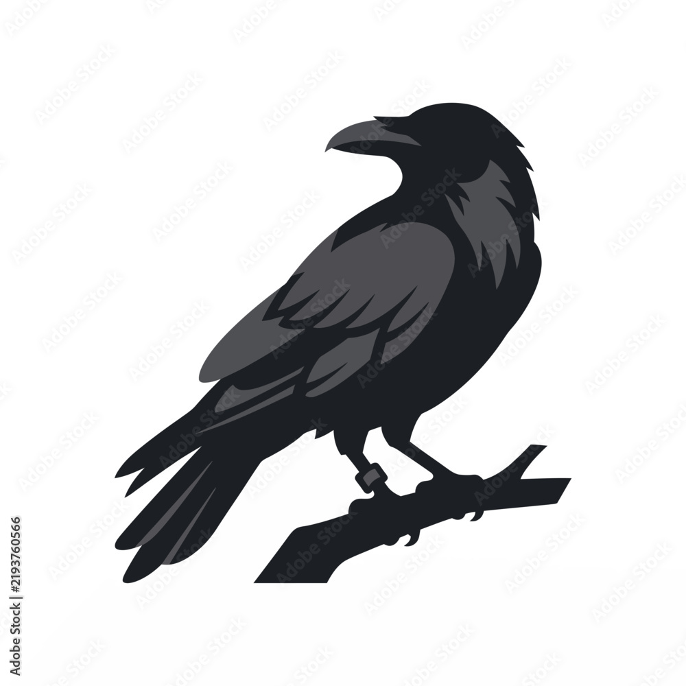 Fototapeta premium Vector illustration of a black raven perched on a tree branch with feather details