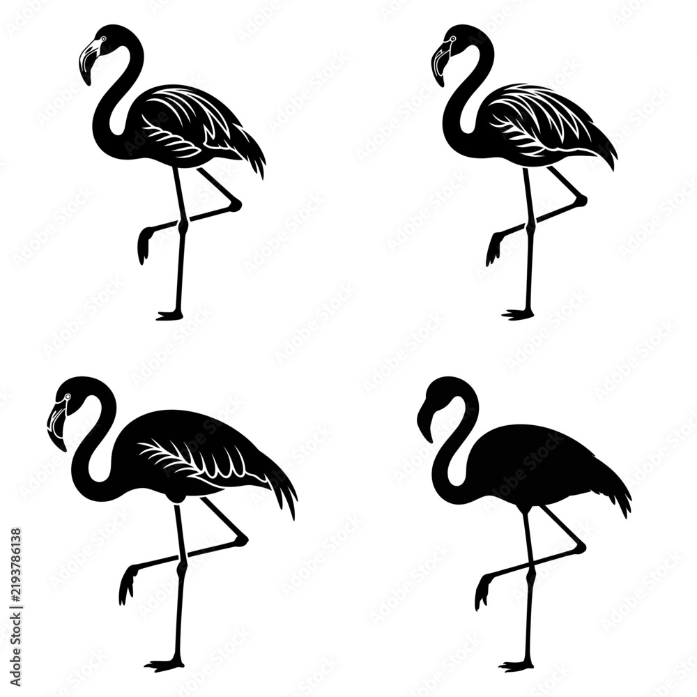 Obraz premium Flamingo silhouettes showcase elegant avian forms on a white background silhouette