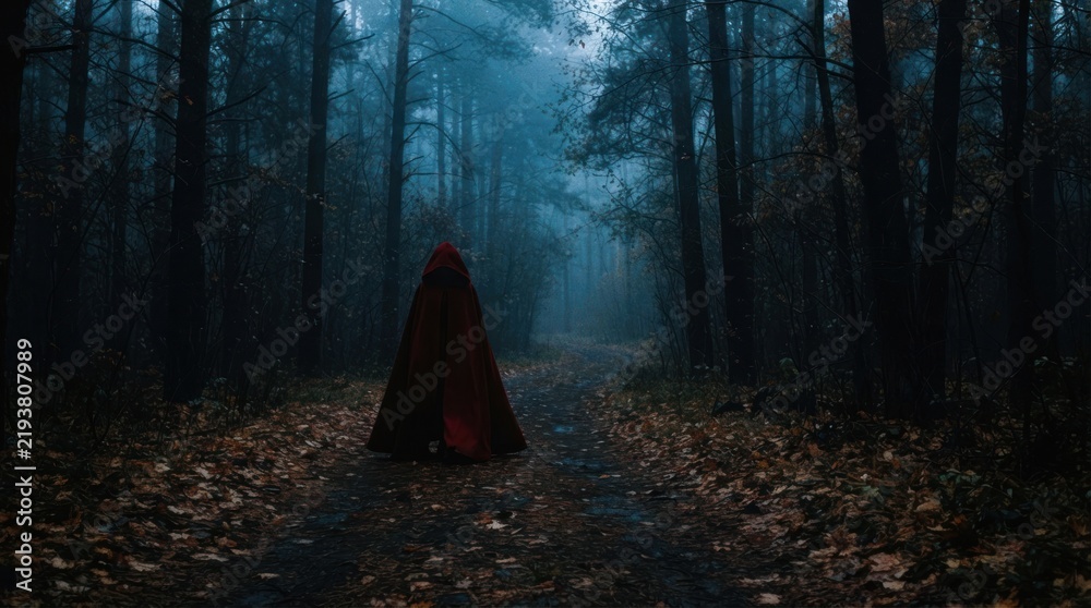 Obraz premium Person in red hooded cloak walking into misty forest.
