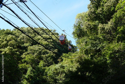 Принти на полотні Red cable car ascending through lush green forest trees