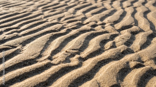 Wavy Sand Texture Pattern on Coastal Beach in Golden Hour Sunlight