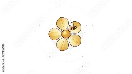 Animated Golden Flower Blooming and Honeybee Flying on White Background