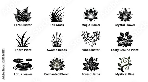 Black and white flower designs.