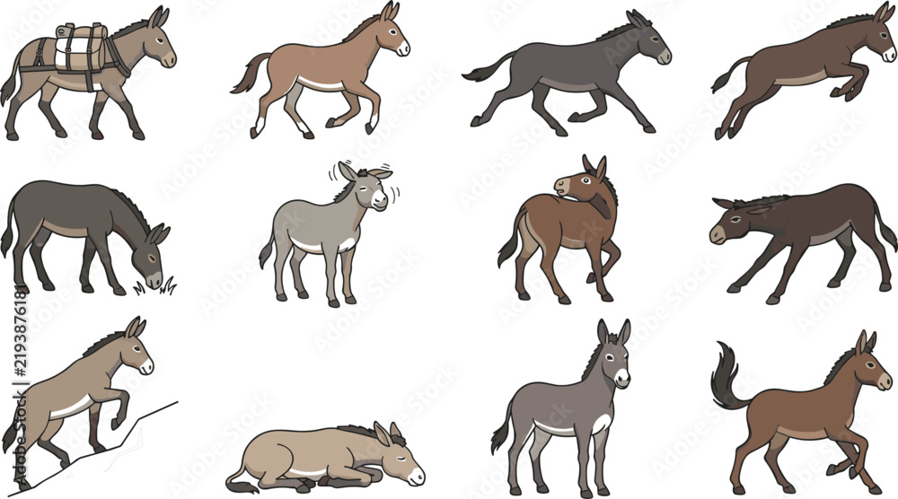 Fototapeta premium Donkey Mule Collection with Various Actions Trotting Galloping Carrying Luggage and Lying Down Hand Drawn Vector Illustration
