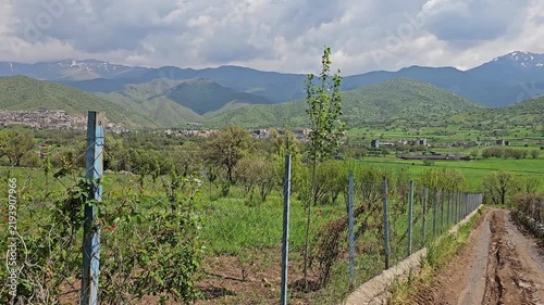 Rustic dirt road winds alongside a stone wall and vineyard rows, with scattered red wildflowers, a distant town, and snow-streaked mountains beneath dramatic clouds.
📍 Dorud, Sarvabad, Kurdistan 
