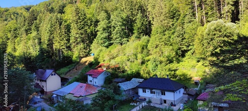 Landscape in the forest