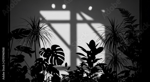 Enchanted Lumina Flora Silhouettes