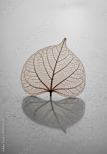 Ephemeral Veins, Mirror's Whisper