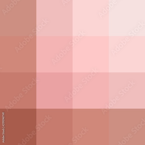 A minimalist gradient pattern of 16 monochromatic pink and salmon squares, ranging from light pastel to rich blush tones. Perfect for digital backgrounds and clean design.