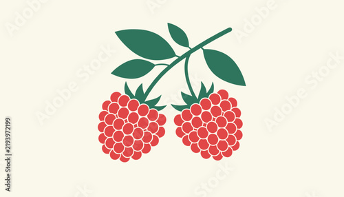 Two ripe red raspberries hanging from a green stem with leaves illustrated on a minimalist off white background.