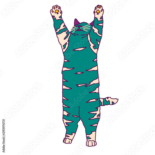 Photography Happy cat 1