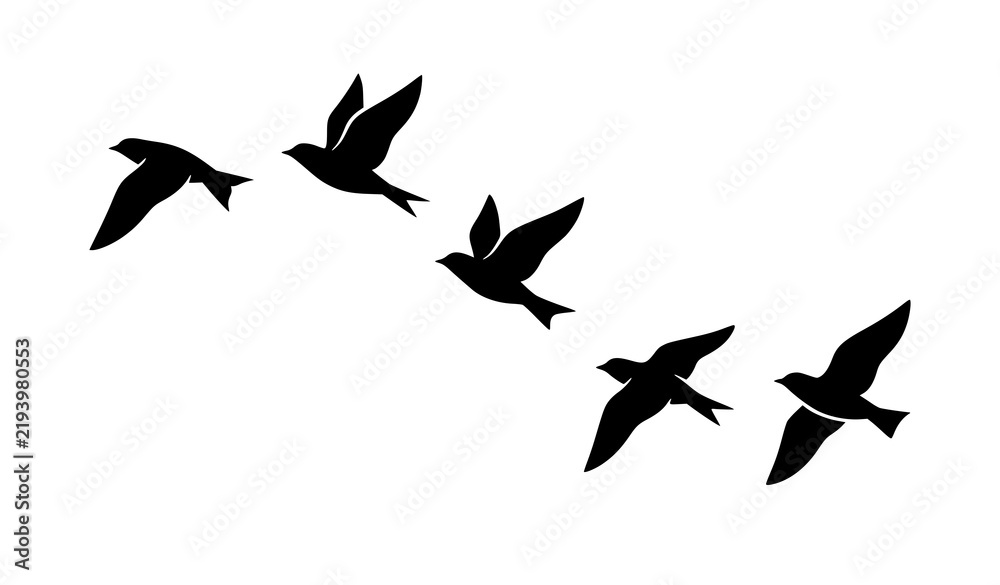 Obraz premium Five Birds Curved Flying Flock Black Silhouette Vector Design