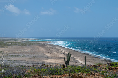 Aruba's rugged windwward coast