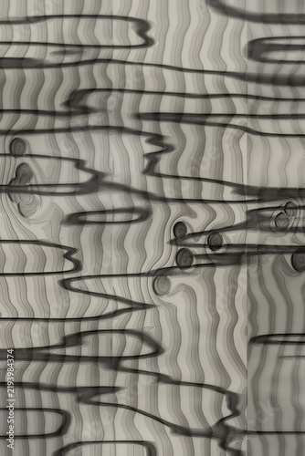 Fotografie abstract wavy line pattern on gray