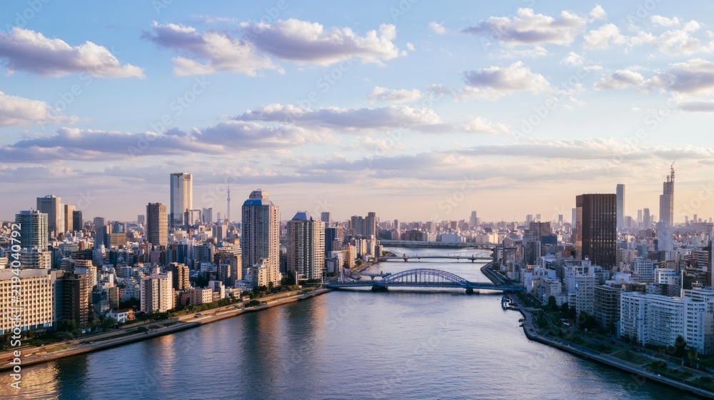 Fototapeta premium Aerial View of Urban Cityscape with River and Bridge Connecting Densely Populated Areas