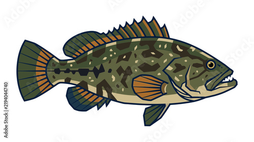 Stylized Spotted Grouper Fish Vector Illustration
