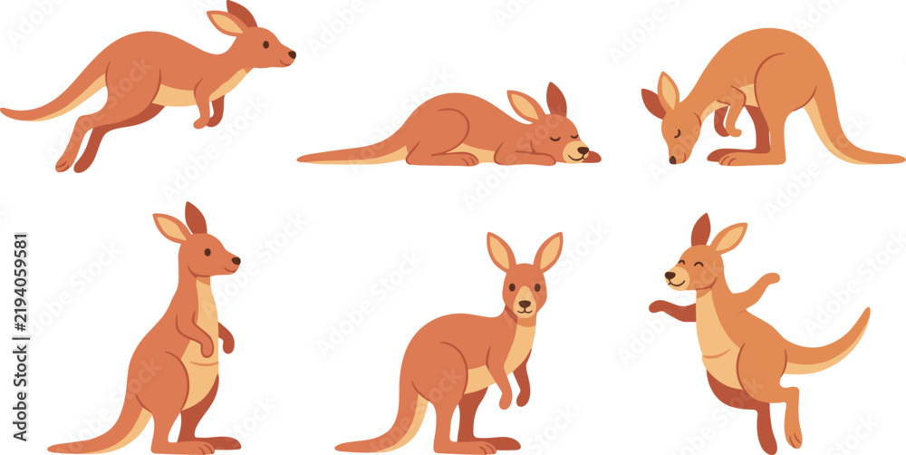 Obraz premium Cute cartoon kangaroo characters collection showing different poses including jumping sleeping standing sitting and bounding australian wildlife vector isolated illustration