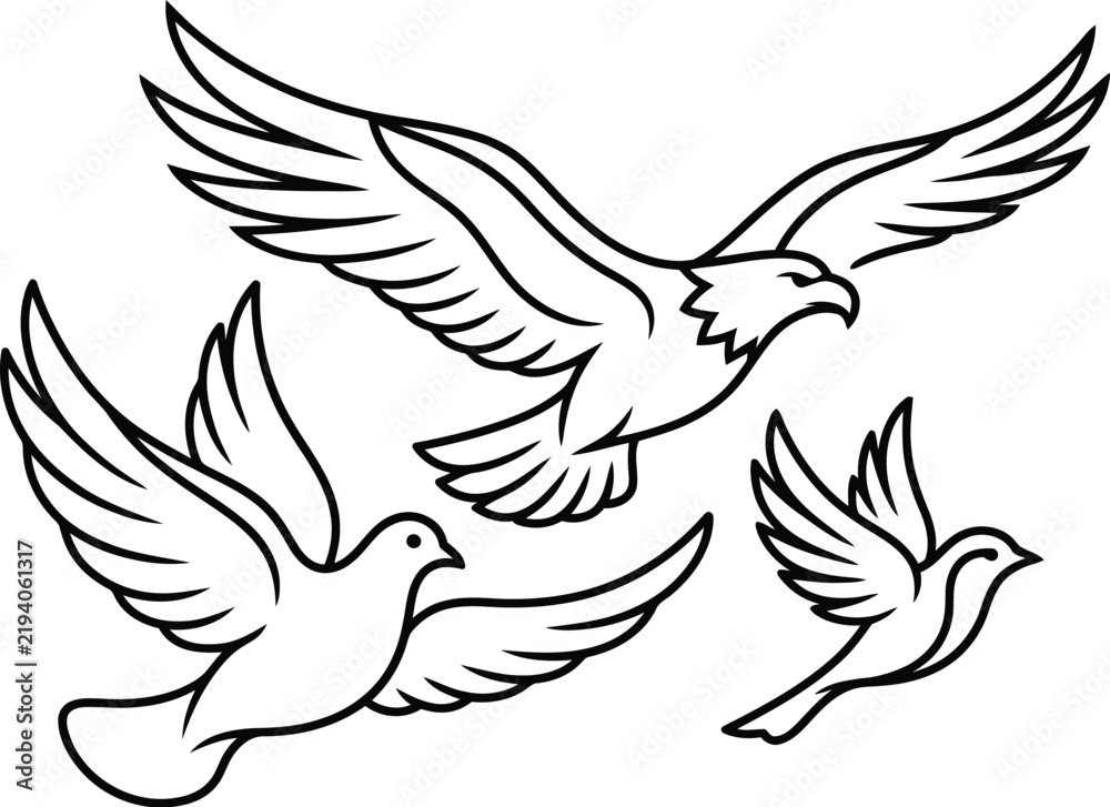 Fototapeta premium vector illustration of a dove