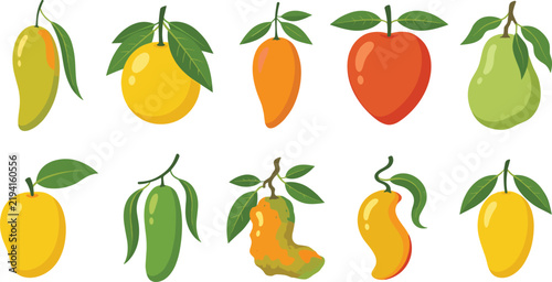 Fresh Mango Fruit Vector Icons Set with Diverse Varieties and Green Leaves for Organic Food Branding Health Juice Product Labels and Agriculture Farming Market Web Designs