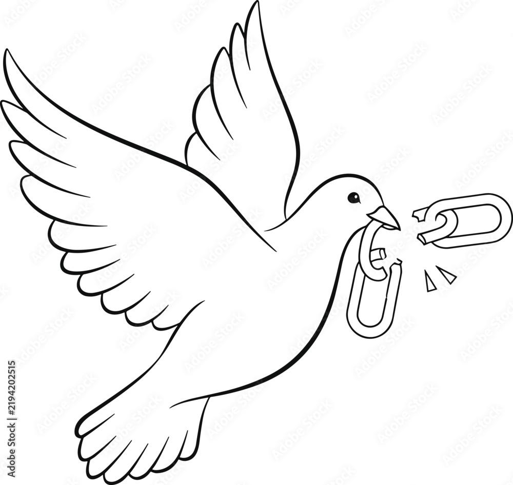 Fototapeta premium Flying pigeon bird holding broken metal chain link as a symbolic representation of freedom liberty and emancipation