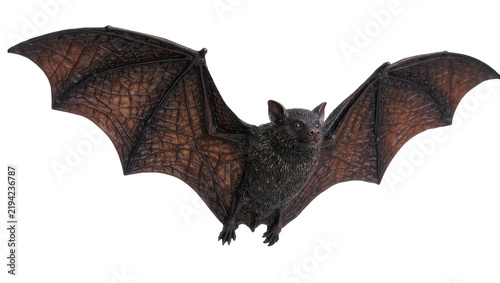 Obraz na plátně Dark brown textured bat with outstretched wings, isolated on transparent backgro