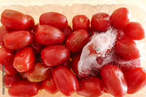 Картината върху платно grocery waste