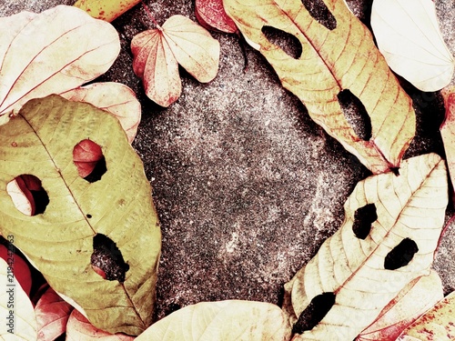 Obraz na plátně This eerie Halloween mask, crafted from red autumn leaves, evokes the call of a demon