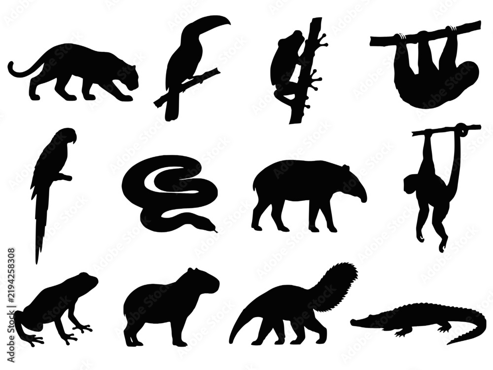 Fototapeta premium Rainforest Tropical Animals Silhouette Set Vector - Jaguar Toucan Sloth Tapir Snake Monkey Capybara Anteater Wildlife Icons
