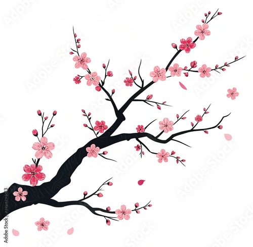 Plakat cherry blossom branch