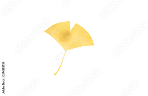 Single yellow watercolor ginkgo leaf autumn illustration