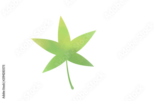 Single green maple leaf watercolor autumn transition illustration