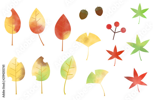 Collection of watercolor autumn leaves and botanical set illustrations