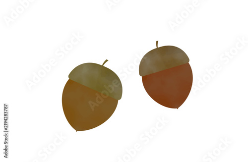 Watercolor autumn cute acorns botanical illustration