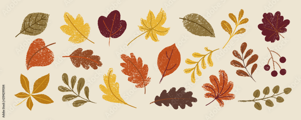 Obraz premium Set of hand drawn autumn, fall leaves, plants, berries with grunge texture. Warm fall colors.