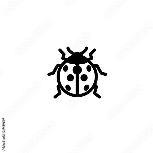 ladybug