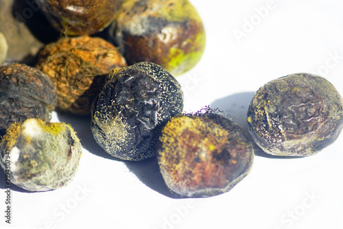 Quadro su tela Group of walnut husks in various stages of mold and decay arranged on white surface